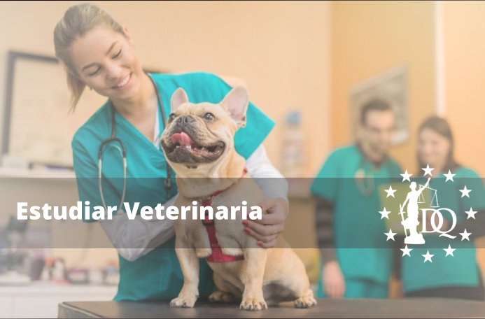 Curso Auxiliar Veterinaria Online