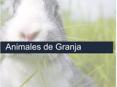 Curso Auxiliar de Veterinaria Animales de Granja