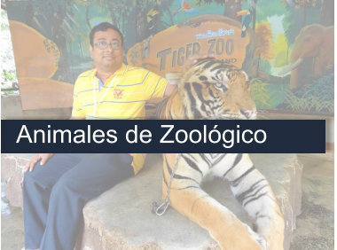 Curso Auxiliar de Veterinaria Animales de Zoológico
