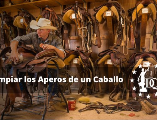 Cómo Limpiar los Aperos de un Caballo