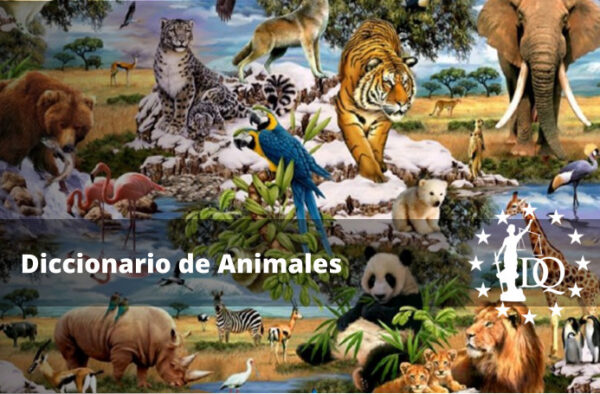 Diccionario Animales