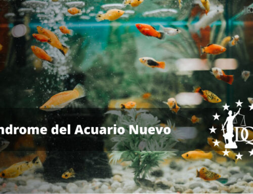 Qué es el Síndrome del Acuario Nuevo y Cómo Evitarlo