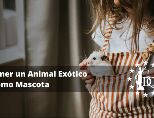 Qué se Necesita Saber para Tener un Animal Exótico Como Mascota