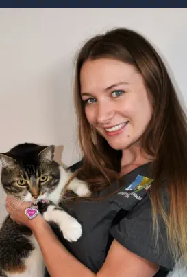 Cómo Ser una Buena Auxiliar de Veterinaria - Con un Gato