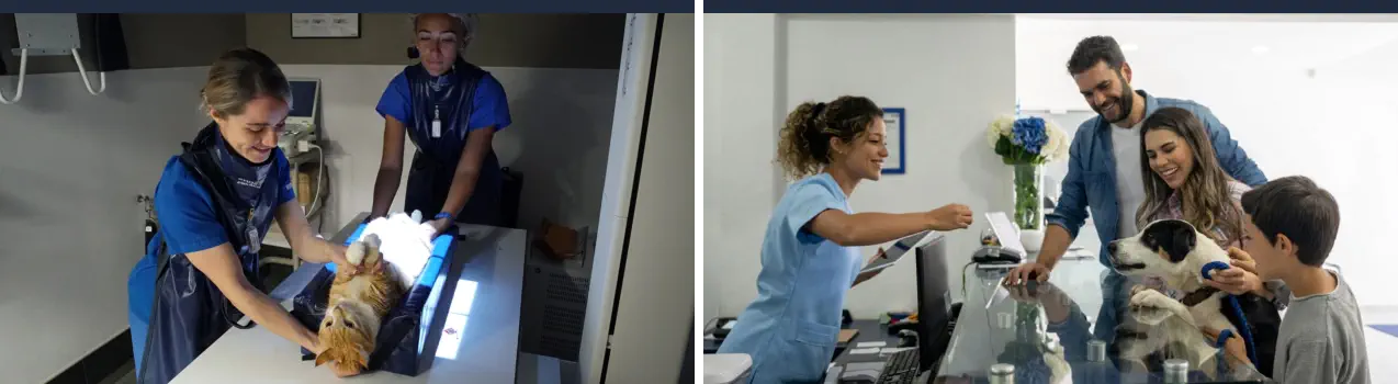 Cursos de Especialización Veterinaria - Radiología y Atención al Cliente