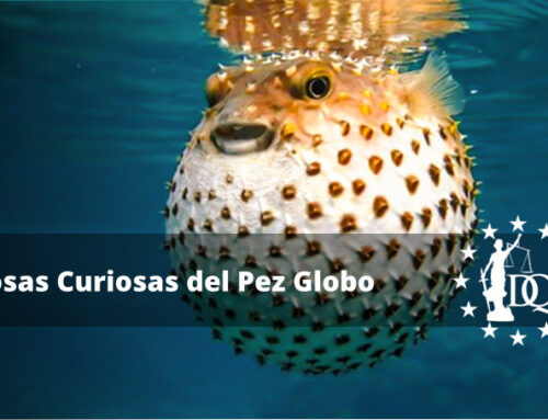 Cosas Curiosas del Pez Globo