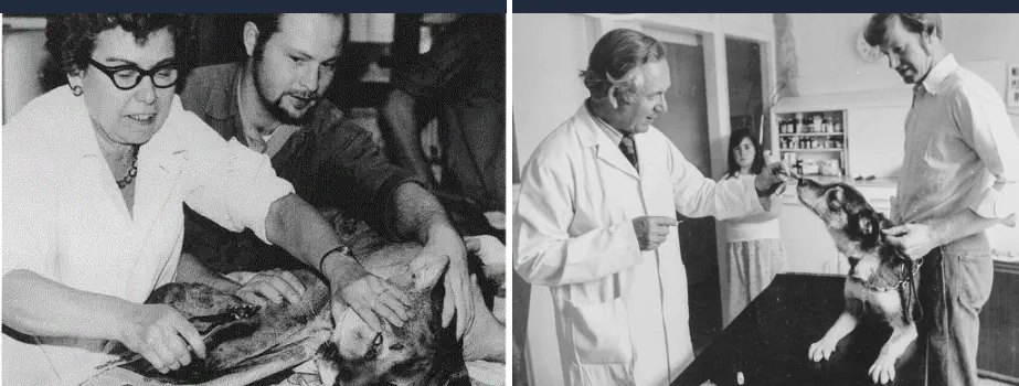 Veterinarios Importantes en la Historia - Patricia O’Connor y James Herriot
