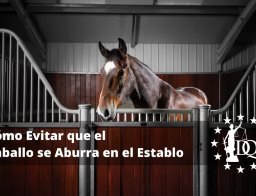 Cómo Evitar que el Caballo se Aburra en el Establo. Trucos y Consejos