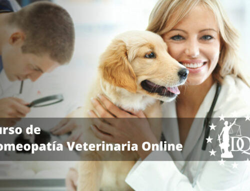 Curso de Homeopatía Veterinaria Online | Certificación Internacional DQ