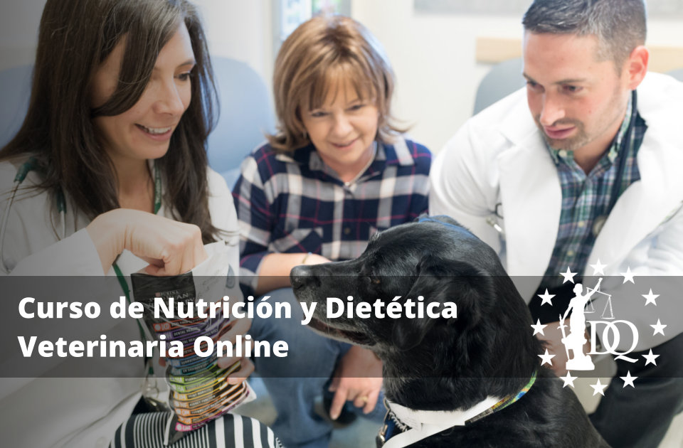 Curso de Nutrición y Dietética Veterinaria Online
