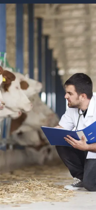 Curso de Perito Judicial en Veterinaria Online - Haciendo un Informe Pericial Veterinario