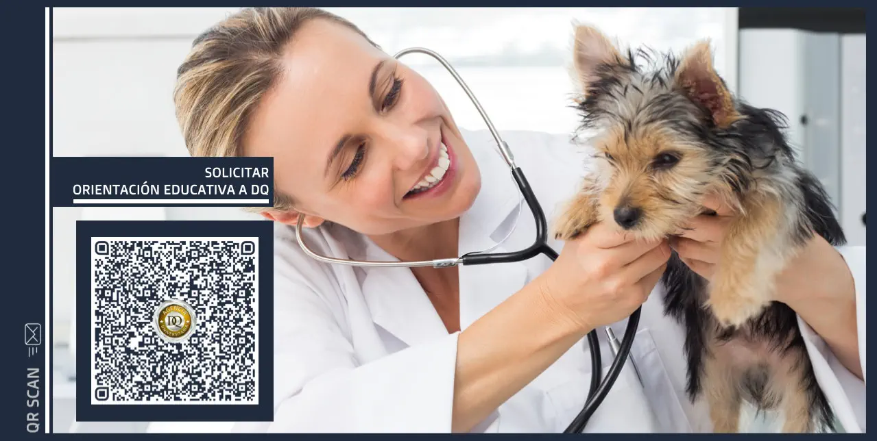 Curso de Perito Judicial en Veterinaria Online - Solicita Información