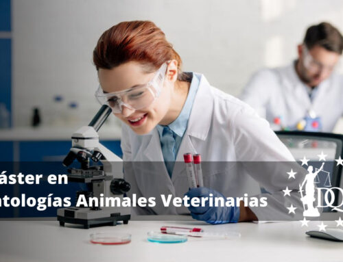 Máster en Patologías Animales Veterinarias | Certificación DQ