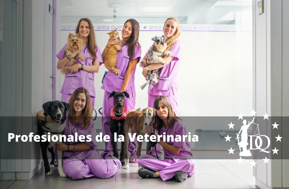 Profesionales de la Veterinaria