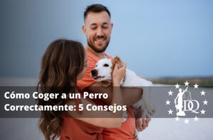 Cómo Coger a un Perro Correctamente: 5 Consejos