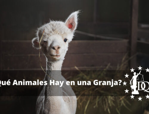 ¿Qué Animales Hay en una Granja? | Curso Auxiliar Veterinaria
