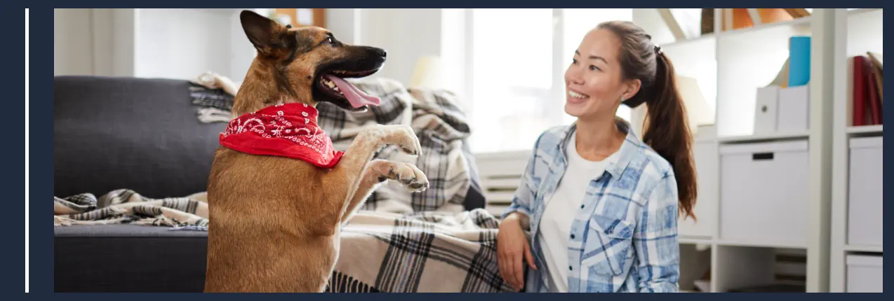 Trucos y Consejos de Cómo Adiestrar a un Perro Trucos y Consejos de Cómo Adiestrar a un Perro