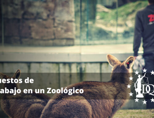 Puestos de Trabajo en un Zoológico