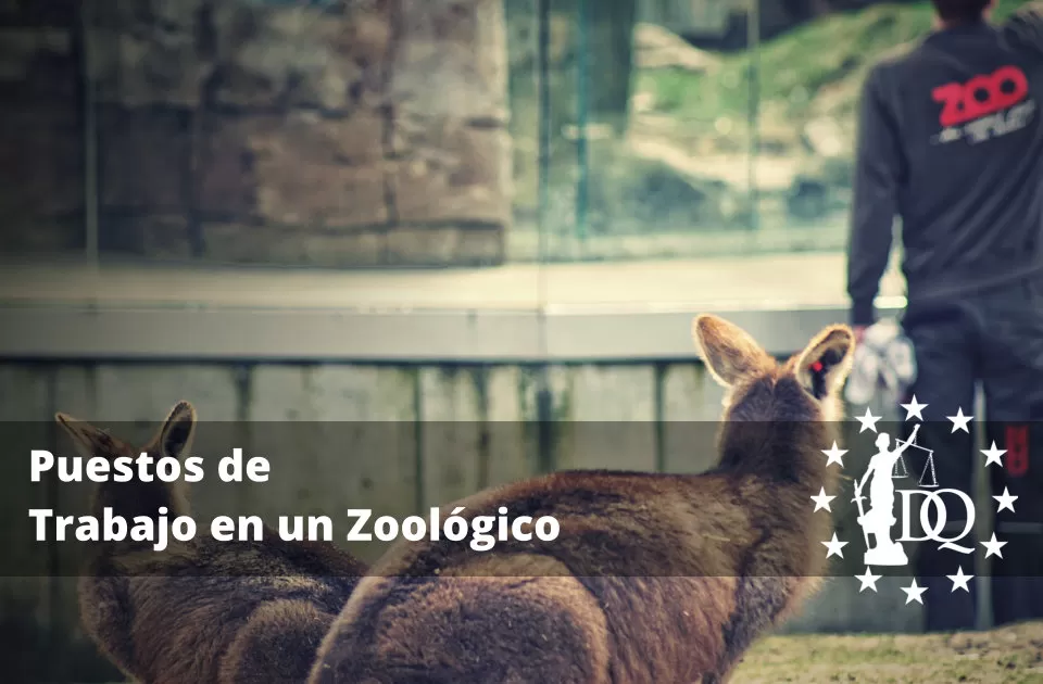 Puestos de Trabajo en un Zoológico