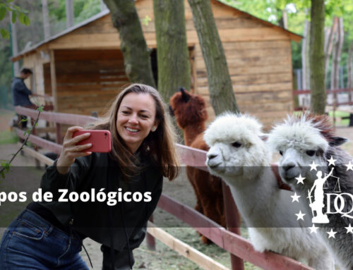 Tipos de Zoológicos