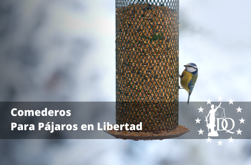 Comederos Para Pájaros en Libertad