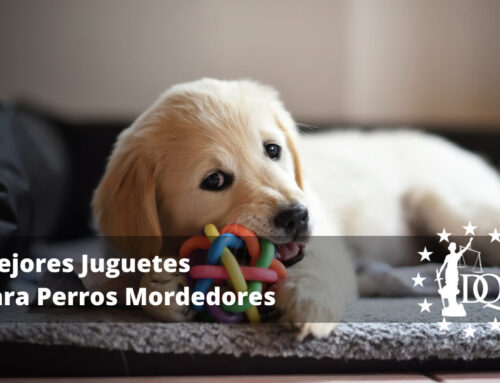 Mejores Juguetes Para Perros Mordedores