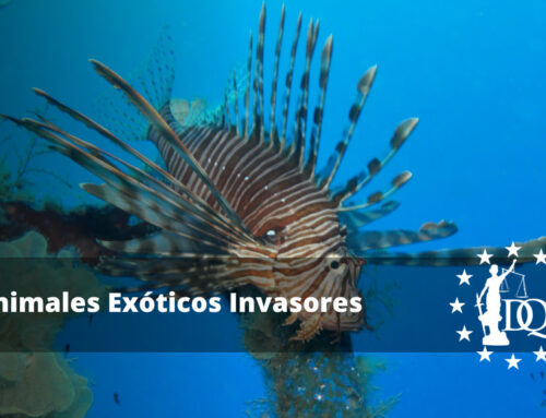 Animales Exóticos Invasores: ¿Qué Son Estas Especies?