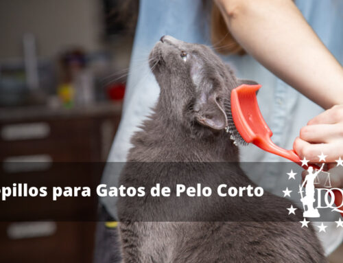 Cepillos para Gatos de Pelo Corto