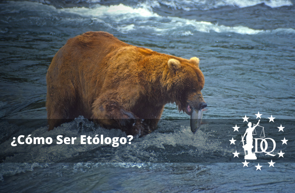 Cómo Ser Etólogo