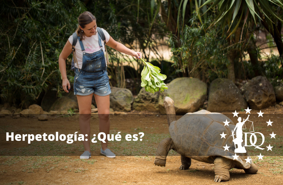 Herpetología Qué es Qué estudia