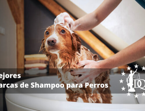 Mejores Marcas de Shampoo para Perros