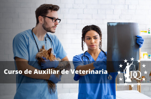 Curso de Auxiliar de Veterinaria Homologado