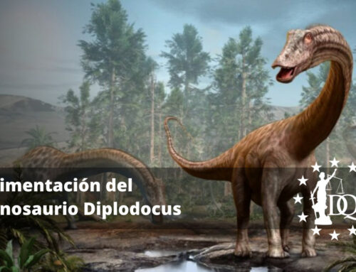 Alimentación del Dinosaurio Diplodocus