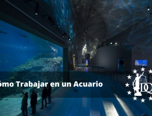 Cómo Trabajar en un Acuario