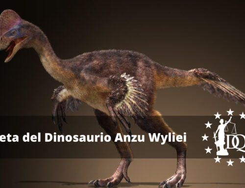 Dieta del Dinosaurio Anzu Wyliei