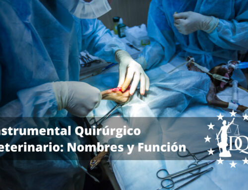 Instrumental Quirúrgico Veterinario: Nombres y Función