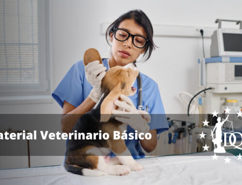 Material Veterinario Básico