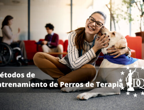 Métodos de Entrenamiento de Perros de Terapia
