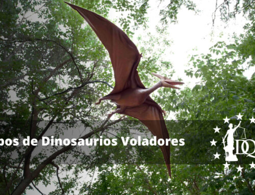 Tipos de Dinosaurios Voladores